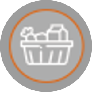 grocery bags icon